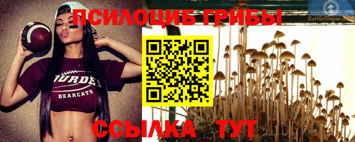 Псилоцибиновые грибы GOLDEN TEACHER Сочи