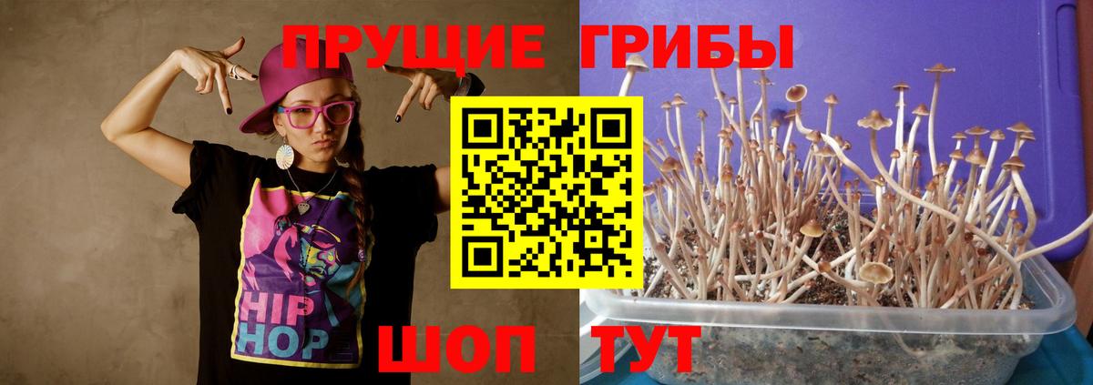 Сочи  Псилоцибиновые грибы MAGIC MUSHROOMS  Вход с VPN 